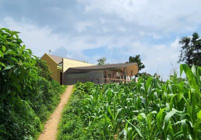OUR FUTURE PROJECT – THE PROJECT TO BUILD A COMPASSIONATE SCHOOL